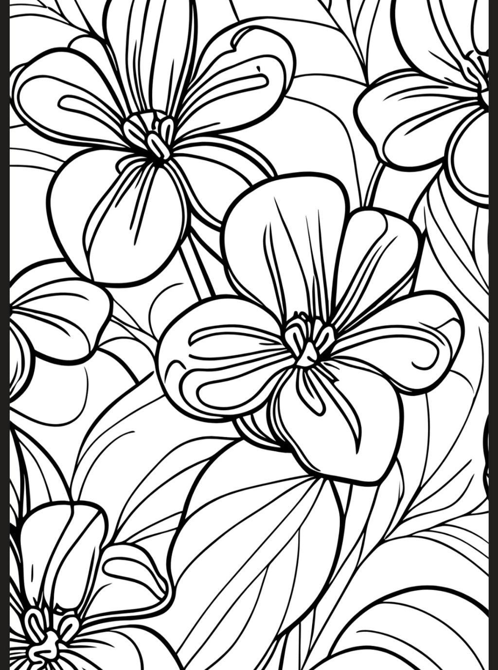 Flowers & Butterflies A5 Colouring Inserts