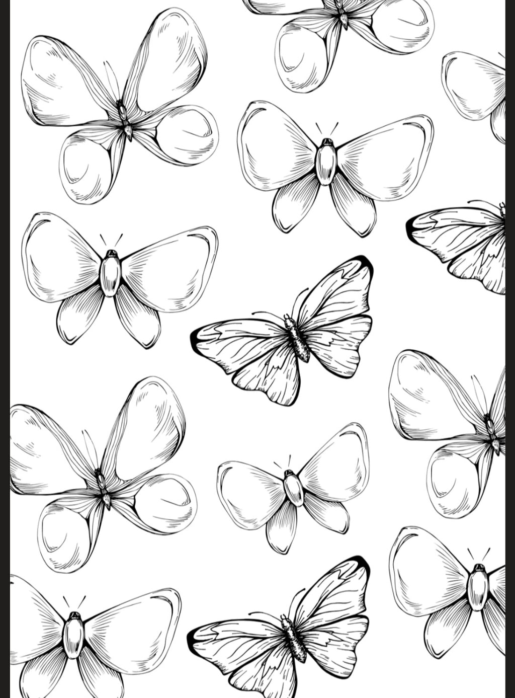 Flowers & Butterflies A5 Colouring Inserts