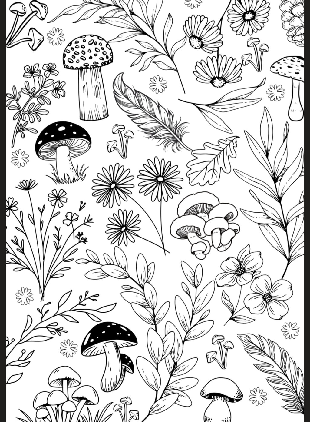 Flowers & Butterflies A5 Colouring Inserts