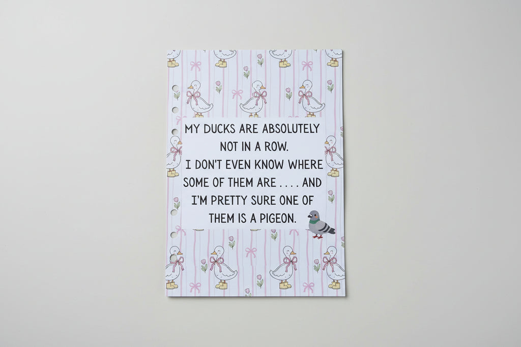 Ducks Dashboard