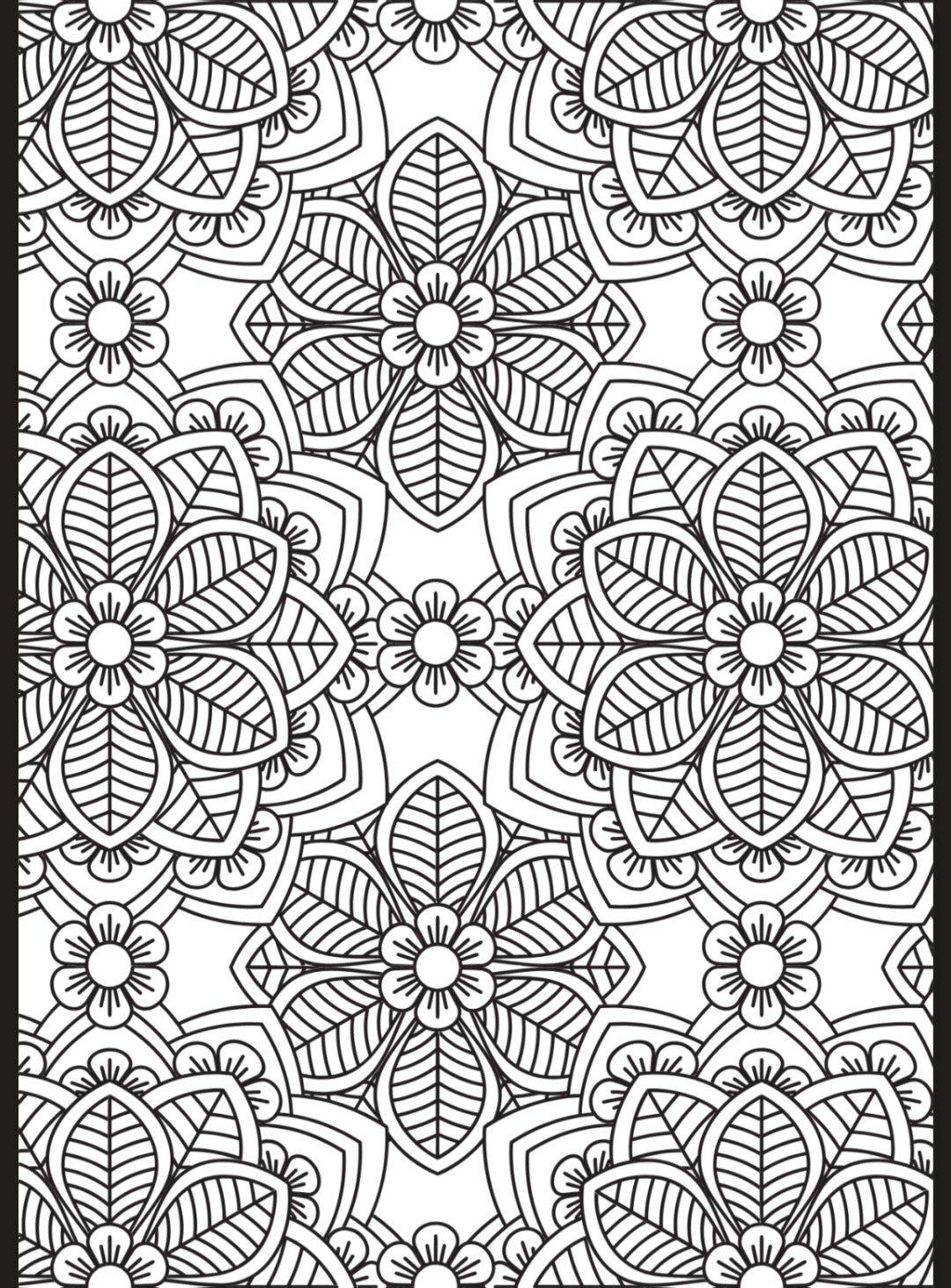 Flowers & Butterflies A5 Colouring Inserts