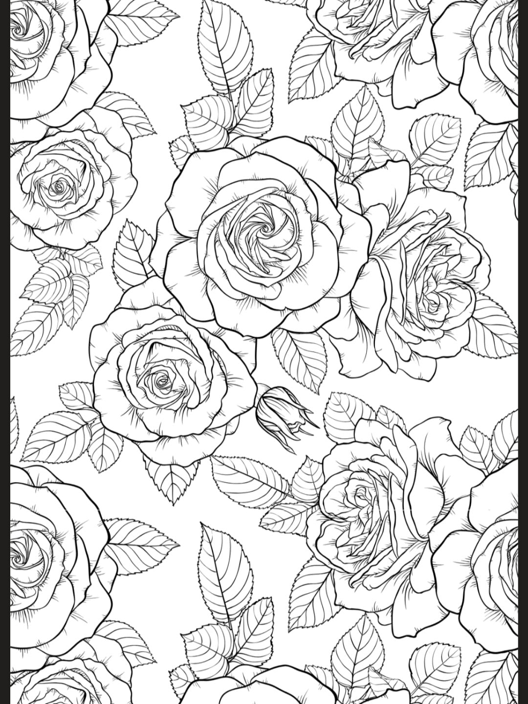 Flowers & Butterflies A5 Colouring Inserts