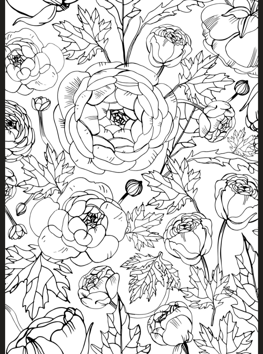 Flowers & Butterflies A5 Colouring Inserts