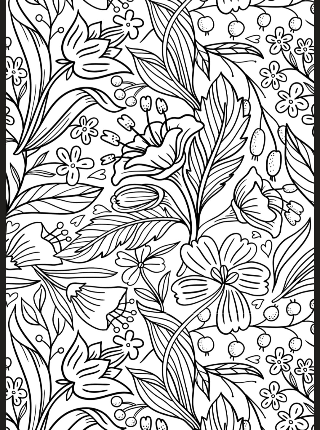 Flowers & Butterflies A5 Colouring Inserts