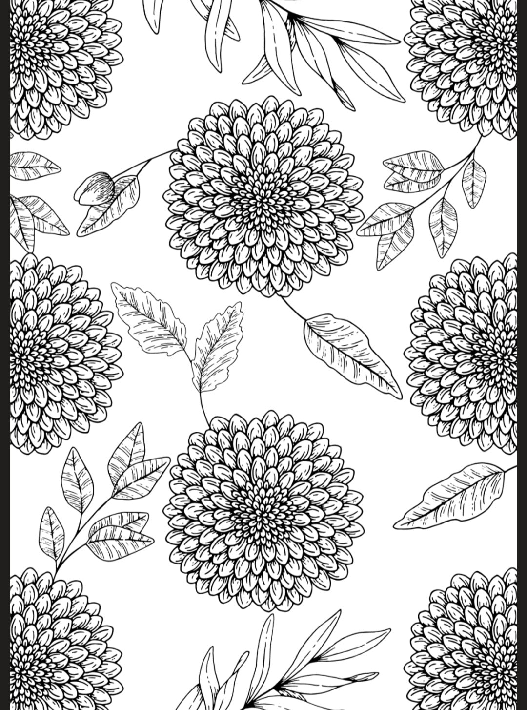 Flowers & Butterflies A5 Colouring Inserts